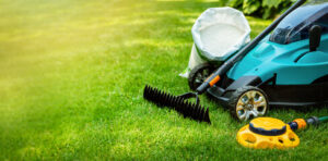 Lawn Care Services