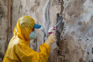Mold Inspections